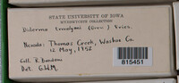 Image Associated With the Occurence